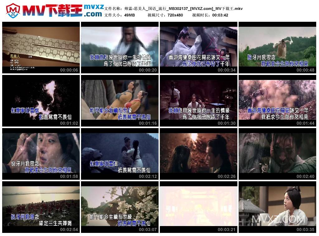 帅霖-思美人_国语_流行_MB302137